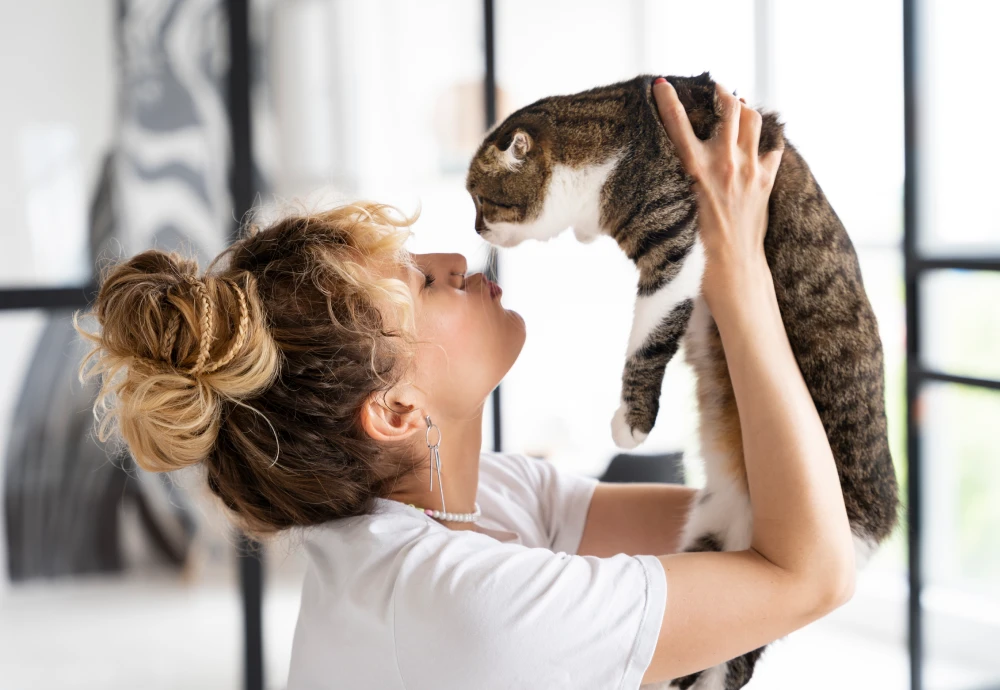 best camera for pets at home
